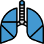 Lungs icon 64x64