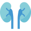 Kidneys Symbol 64x64