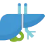 Liver Symbol 64x64