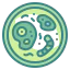 Bacteria icon 64x64