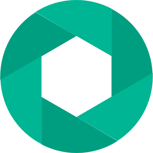 Logo icon