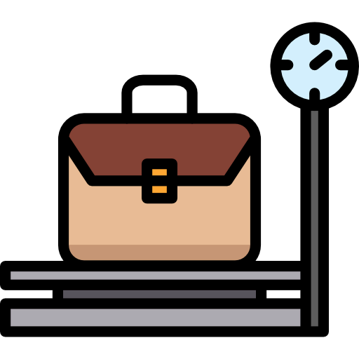 Scale icon