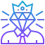 Premium icon 64x64