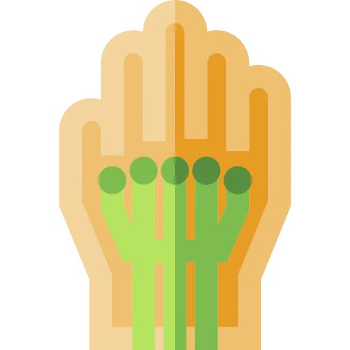 Wired gloves icon