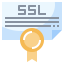 Ssl biểu tượng 64x64