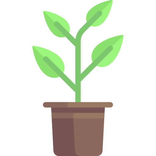 Sprout icon