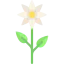 Flower icon 64x64