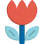 Macro icon 64x64