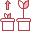 Growth Symbol 64x64