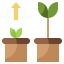 Growth icon 64x64