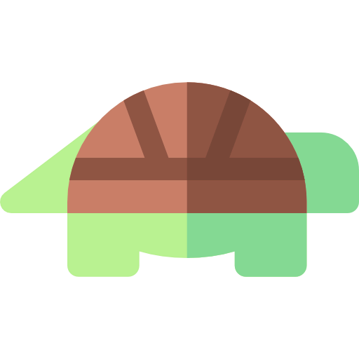 Turtle icon
