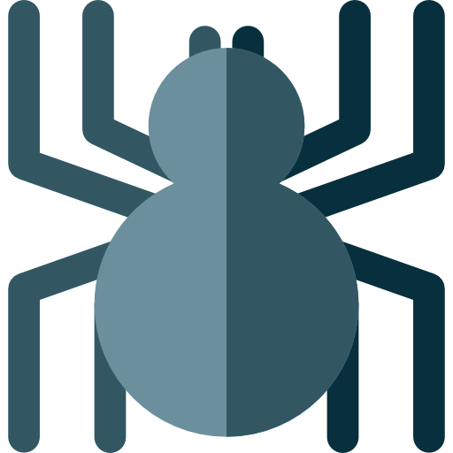 Spider icon