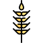 Wheat icon 64x64