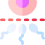 Contraceptive methods icon 64x64