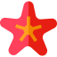 Starfish icon 64x64