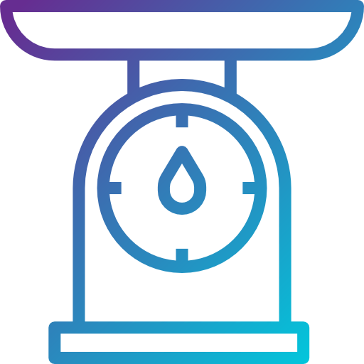 Scale icon