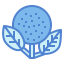 Hydrangea icon 64x64