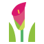 Lilly icon 64x64