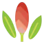 Flower icon 64x64