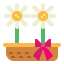 Daisy icon 64x64