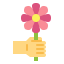 Flower icon 64x64