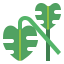 Monstera icon 64x64