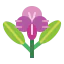 Orchid icon 64x64