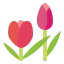 Tulip icon 64x64