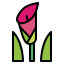 Lilly icon 64x64