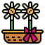 Daisy icon 64x64