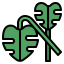 Monstera icon 64x64