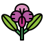 Orchid icon 64x64