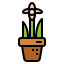 Orchid icon 64x64