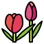 Tulip icon 64x64