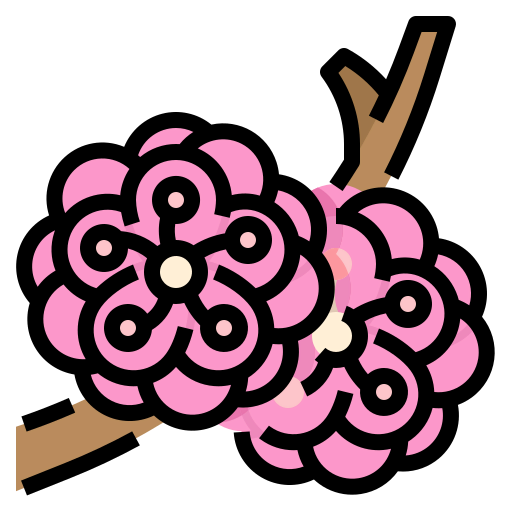 Plum icon