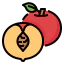 Peach icon 64x64