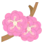 Plum icon 64x64
