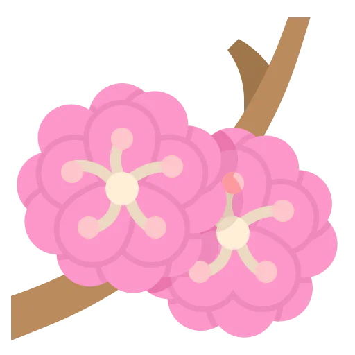 Plum icon
