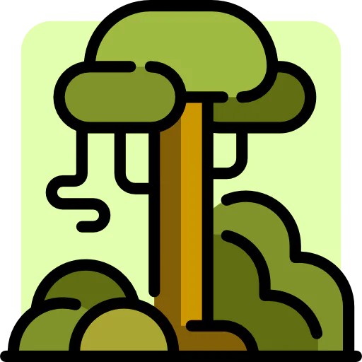 Rainforest icon