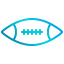 Football icon 64x64