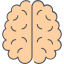 Brain icon 64x64