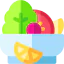 Salad icon 64x64