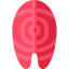 Salmon icon 64x64
