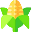 Corn icon 64x64