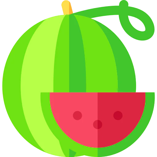 Watermelon icon