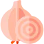 Onion icon 64x64