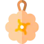 Sponge icon 64x64