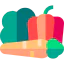 Vegetables icon 64x64
