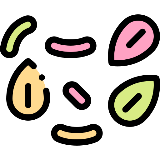 Nuts icon