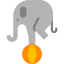 Elephant icon 64x64